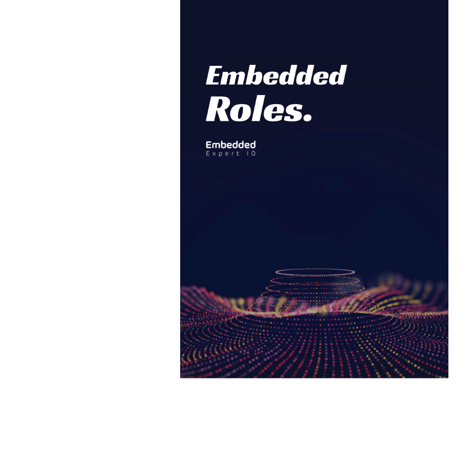 Roles in the Field of Embedded Systems
                            